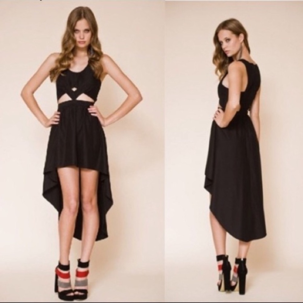 NWT Keepsake The Label Cutout High Low Dress Size 2 - Picture 2 of 5